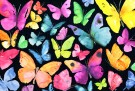 Butterflies, mikropuslespill 150 brikker thumbnail
